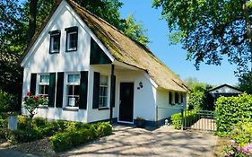 Vakantiehuis Villa 56